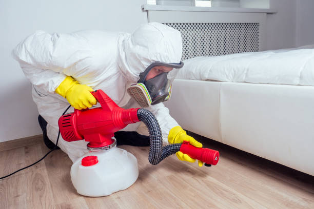 Best Real Estate Pest Inspections  in Gerdine, AL